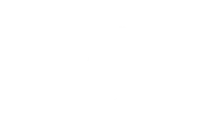 VEGANIZAN